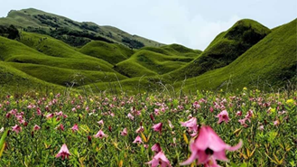 Festivals of Nagaland