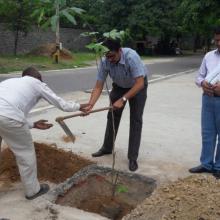 एन.एच.आई.डी.सी.एल. के अधिकारियों द्वारा राष्ट्रीय गुलाब वाटिका, चाणक्यपुरी, नई दिल्ली में 04 अगस्त, 2016 को क्षतिपूरक वृक्षारोपण।